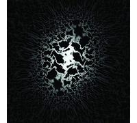 Trad Gras och Stenar - Homeless Cats