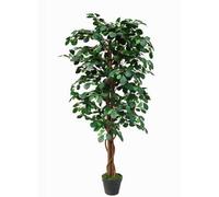 Tradala 4Ft Lush Artificial Tree Coin Plant 120Cm / 4Ft Tall With Real Wood Trunk - For Home Living Room Indoors