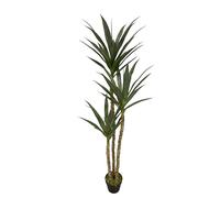 Tradala 5ft 5 Inch 170cm Tall Large Lush Green Artificial Yukka Tree | Indoor Home House Décor | For Living Room Bedroom Home Office