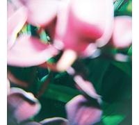 Trade Wind-You Make Everything CD NEW