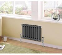 Traditional 2 3 Column Horizontal Vertical Radiator Cast Iron Style Vintage Rads (2 Column 300 x 425mm, Anthracite)
