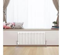Traditional 2 3 Column Horizontal Vertical Radiator Cast Iron Style Vintage Rads (2 Column 300 x 785mm, White)