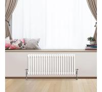 Traditional 2 3 Column Horizontal Vertical Radiator Cast Iron Style Vintage Rads (2 Column 450 x 1010mm, White)