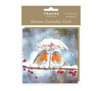 Traditional Advent Calendar Card - Robins Under Frozen Umbrella - No Chocolate