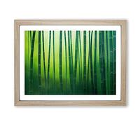 Traditional Bamboo Forest Framed Print | A2 Oak Framed Wall Art | Ready to Hang | Classic Landscape Picture | Living Room Bedroom Lounge Office