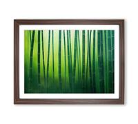Traditional Bamboo Forest Framed Print | A3 Walnut Framed Wall Art | Ready to Hang | Classic Landscape Picture | Living Room Bedroom Lounge Office