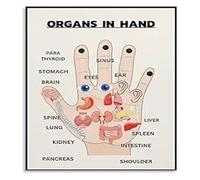 Traditional Chinese Medicine Chart Poster Body Organs Health Guide Canvas Wall Art Vintage Aesthetic Study Decor(Framed,08x12inch(20x30cm))