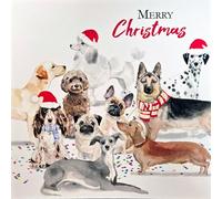 Traditional Festive Art - Large Square 160 x 160mm (6.5x6.5") - Seasons Greetings - Pack of 5 Premium Charity Christmas Cards - Tracks Publishing (Festive Dogs)