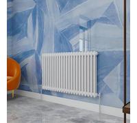 Traditional Household Cast Iron Radiator，White Horizontal 600X1010mm 2 Column Suitable for Multi-Room Central Heating