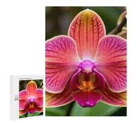 Traditional Jigsaw Puzzle for Adults, 500 PCS, Close-up of A Vibrant Orchid Flower Design, An Engaging Indoor Activity for Quiet Evenings, at Home