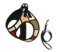 Traditional Orient No Pull Dog Harness and Leash Set, Cute Reflective Adjustable Vest for Small Dogs,Breathable Mesh Puppy Harness for Walking Hiking,Medium