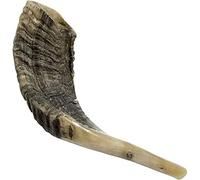 Traditional Shofar from Israel, Jewish Natural Musical Instrument, Clear Sounding Authentic Horn Shofar, Beautiful Sounding Shofar, Natural Ram Horn Shofar (14"-16")