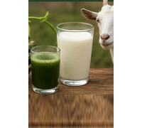 Traditional Wellness Guide Guduchi (Tippateega) and Goat's Milk in Folk Practices: To accelerate the healing of broken bones, mix the juice