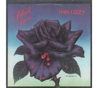 tragic songs of life (ROUNDER 12 LP)