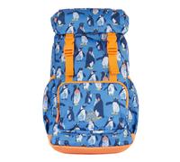 Trail Blazing Backpack Frugi Blue One Size