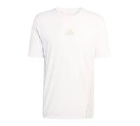 Trail running T-shirt Adidas Terrex Xperior CLIMACOOL+ (WHITE) Men