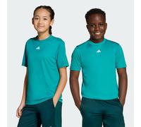 adidas Unisex Kids Train Essentials Logo Regular Fit T-Shirt Junior, Pure Teal/White, 9-10 Years