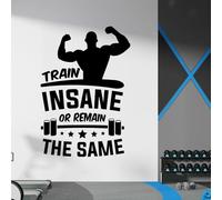 Train Insane or Remain The Same - Motivational Gym Decal Wall Sticker [Large] [Black]