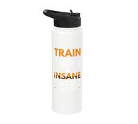 Train Insane or Remain The Same Stainless Steel Insulated Water Bottle