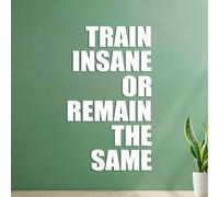 Train Like Crazy Or Keep The Same Workout Bodybuilding Motivational Quotes Wall Decals Paster Paper Window Decals 35x60.1cm White