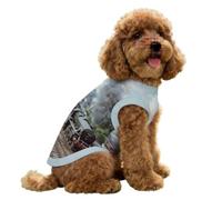 Train on The Railway Station Dog Shirts for Small Doggie Pet