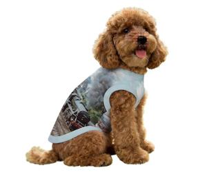 Train on The Railway Station Dog Shirts for Small Doggie Pet