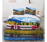 Train Single Duvet Cover Set Natural Scenery Bedding Set 3D Print Soft Microfiber Quilt Covers 155x200 cm with Zipper Closure and 2 Pillowcases 50x75 cm for Kids Teens D.1767