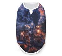 Train The Express American Railroad Dog Shirts Sleeveless T-Shirt Pet Tank Top Soft Summer Vests Clothes for Dogs And Cat M