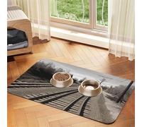 Train Track Dog Food Mat, Absorbent Pet Feeding Mat for Food and Water Bowls Non-Slip Placement Pad for Floors Waterproof Quick Dry Water Dispenser Mat for Dogs Puppy Cats 12x18 Inch