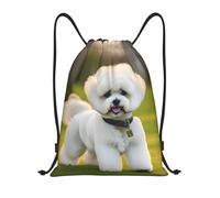 Trainer String Bags Bichon Frise Dog On The Grass Sports Back Pack Unisex String Swim Foldable Drawstring Pe Bags For Shopping Beach Yoga