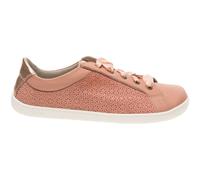 Trainers Fare Bare Elegant All-Year Rose 41