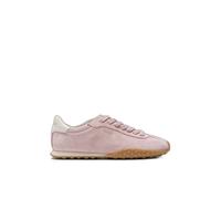 HOFF Bridge Rose, pink, 5 UK