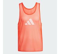 Training 24 Bib
