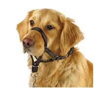 Training collar for dogs Kerbl Maxi Coach