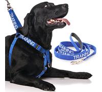 TRAINING (Dog In Training/Do Not Disturb) Blue Colour Coded L-XL Non-Pull Dog Harness and 60cm 1.2m 1.8m Luxury Neoprene Padded Handle Lead Sets PREVENTS Accidents By Warning Others Of Your Dog In Advance (Harness & 1.8m)