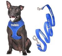 TRAINING (Dog In Training/Do Not Disturb) Blue Colour Coded Non-Pull Front and Back D Ring Padded and Waterproof Vest Dog Harness S M and 1.2m or 1.8m Neoprene Padded Lead Set PREVENTS Accidents By Warning Others Of Your Dog In Advance (M & Special 2m)