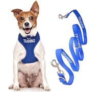 TRAINING (Dog In Training/Do Not Disturb) Blue Colour Coded Non-Pull Front and Back D Ring Padded and Waterproof Vest Dog Harness S M and 1.2m or 1.8m Neoprene Padded Lead Set PREVENTS Accidents By Warning Others Of Your Dog In Advance (S & Special 2m)