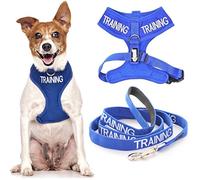 TRAINING (Dog In Training/Do Not Disturb) Blue Colour Coded Non-Pull Front and Back D Ring Padded and Waterproof Vest Dog Harness S M and 1.2m or 1.8m Neoprene Padded Lead Set PREVENTS Accidents By Warning Others Of Your Dog In Advance (S & 1.2m)