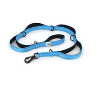 Training Dog Leash - Dual Padded Handles for Reactive Pets - Complete Control Points and D Ring Attachments - Continuous Webbing for Strength - Fail Safe - Large Dog - DU DA Pets (Duchesse Blue)