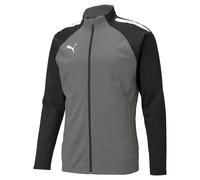 Training jacket Puma Team Liga Gris L