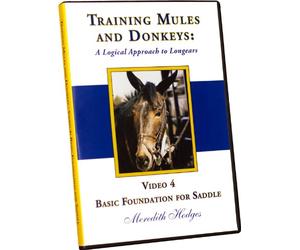 Training Mules and Donkeys: A Logical Approach to Longears DVD #4-Basic Foundation for Saddle