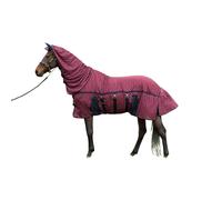 Training reins for horses Harry's Horse