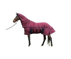 Training reins for horses Harry's Horse