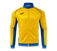 Training top Joma Vintage Eco Retro L