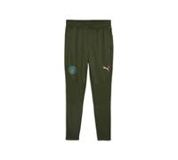 PUMA Manchester City Training Pants Men, Myrtle/Bold Blue, size Small