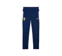 Training Trousers Portugal 2025 Rouge L