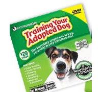 Training Your Adopted Dog