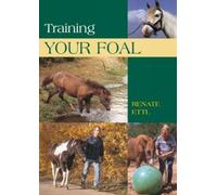 Training Your Foal: Schooling And Training Young Horses