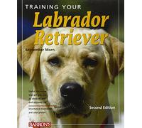 Training Your Labrador Retriever