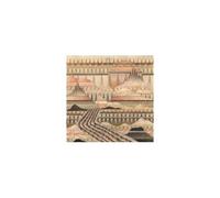 Trampled by Turtles – Alpenglow – Vinyl